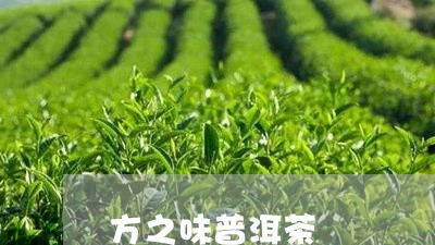 方之味普洱茶/2023042766317