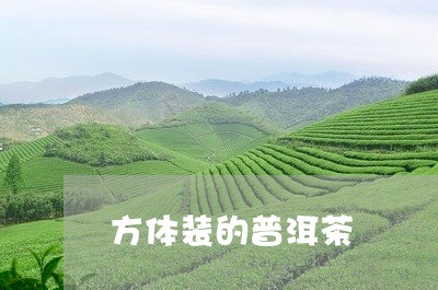 方体装的普洱茶/2023101667270