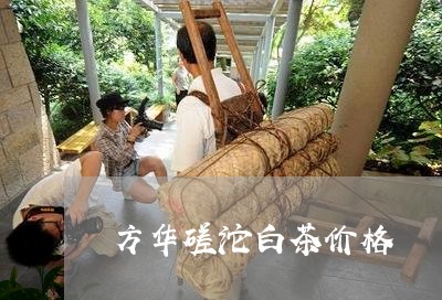 方华磋沱白茶价格/2023062174837