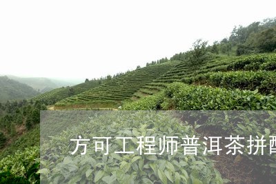 方可工程师普洱茶拼配/2023092883726