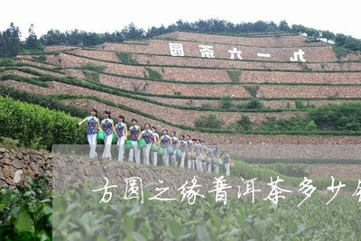 方圆之缘普洱茶多少钱/2023110313949