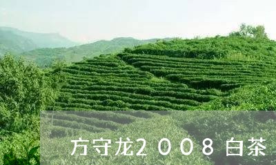 方守龙2008白茶/2023071334837