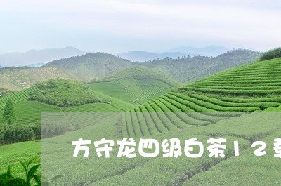 方守龙四级白茶12载/2023092741684