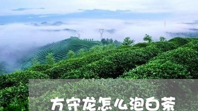 方守龙怎么泡白茶/2023070161827