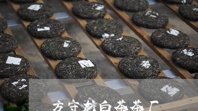 方守龙白茶茶厂/2023060160636