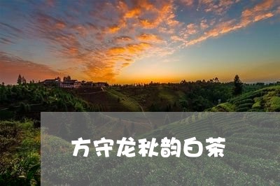 方守龙秋韵白茶/2023060155150