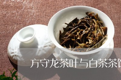 方守龙茶叶与白茶茶饼/2023100133615