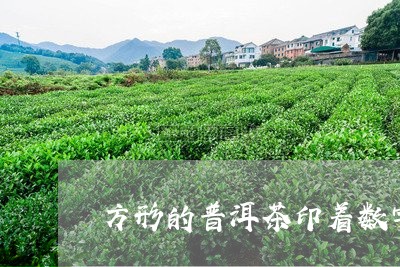 方形的普洱茶印着数字/2023093043504