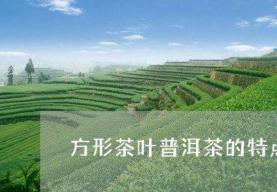 方形茶叶普洱茶的特点是/2023112723814