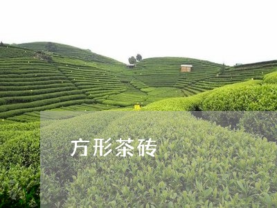 方形茶砖/2023090122693