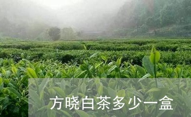 方晓白茶多少一盒/2023062162715