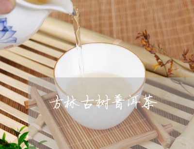 方林古树普洱茶/2023102646282