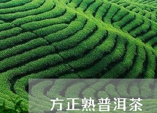 方正熟普洱茶/2023042800172