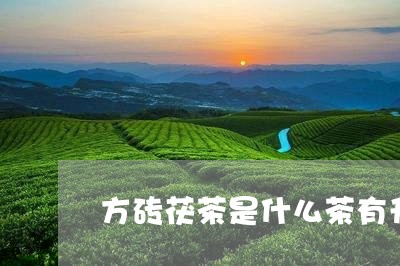 方砖茯茶是什么茶有升值空间吗/2023053165360