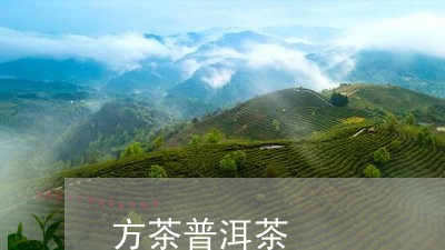 方茶普洱茶/2023081704715