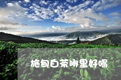 施甸白茶哪里好喝/2023062123961