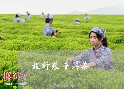 旅行装普洱茶/2023042588871