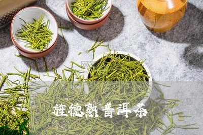 旌德熟普洱茶/2023042637487