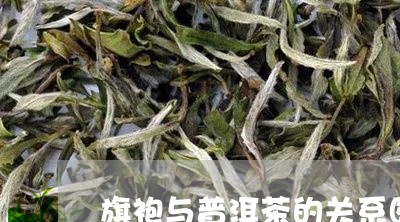 旗袍与普洱茶的关系图片/2023050618359