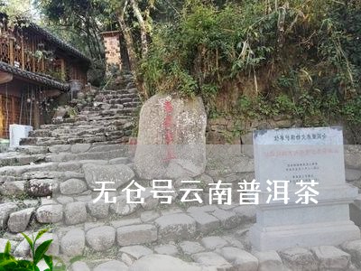 无仓号云南普洱茶/2023120455351