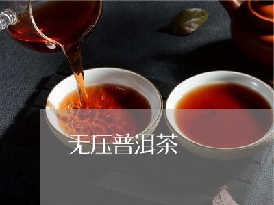 无压普洱茶/2023102576269