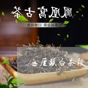 无厘头白茶段子/2023060160797