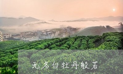 无名白牡丹般若/2023120514625