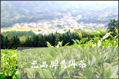 无品牌普洱茶/2023042811040