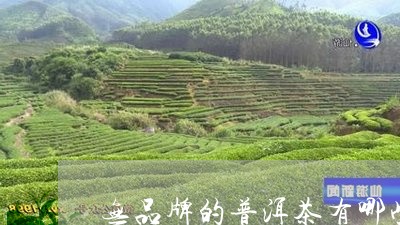 无品牌的普洱茶有哪些/2023063052714