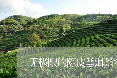 无极限的陈皮普洱茶翠/2023092787407