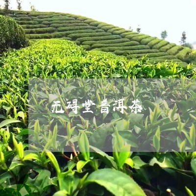 无碍堂普洱茶/2023042804704