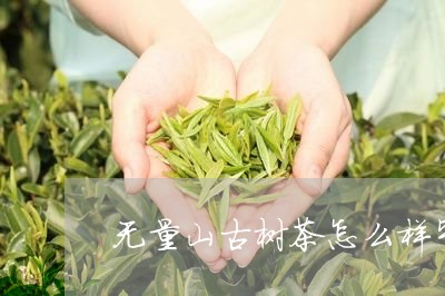 无量山古树茶怎么样毕节太极古茶/2023060259835