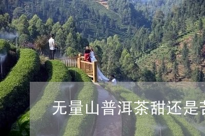 无量山普洱茶甜还是苦的/2023102553627