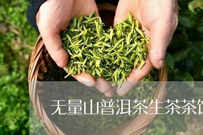 无量山普洱茶生茶茶饼/2023073096248