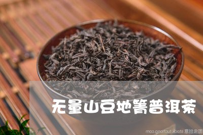 无量山豆地箐普洱茶/2023120557260