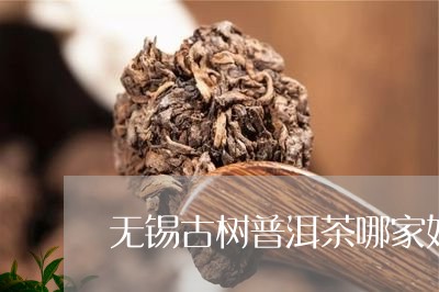 无锡古树普洱茶哪家好喝/2023081463837