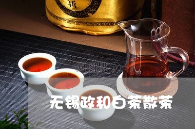 无锡政和白茶散茶/2023062182514