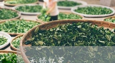 无锡红茶/2023090111715