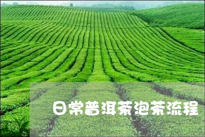 日常普洱茶泡茶流程/2023120503804