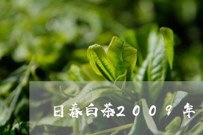 日春白茶2009年/2023121394047