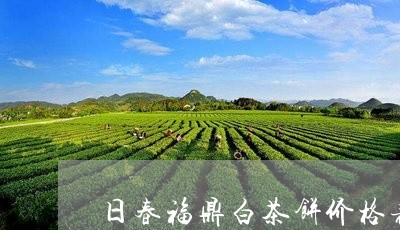 日春福鼎白茶饼价格表/2023120793808