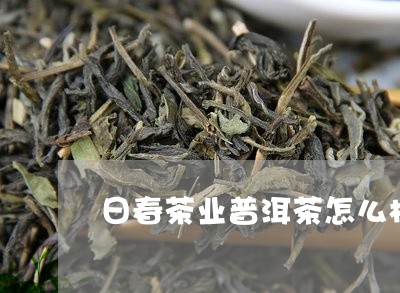 日春茶业普洱茶怎么样/2023120663937