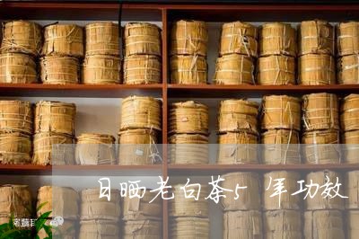 日晒老白茶5年功效/2023121586682