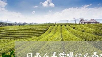 日本人喜欢喝什么茶叶/2023061091513