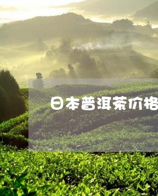 日本普洱茶价格表图片大全/2023112459504