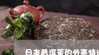 日本普洱茶的外壳特征是什么/2023052827369