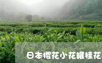 日本樱花小花罐桂花普洱茶/2023081523825