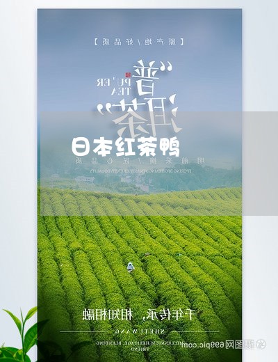 日本红茶鸭/2023090269693