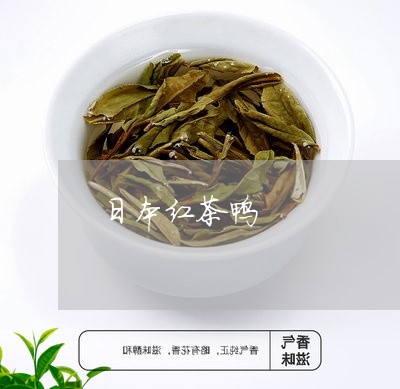 日本红茶鸭/2023121958370