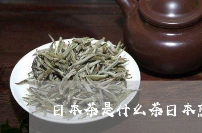 日本茶是什么茶日本煎茶是什么茶叶/2023060466057